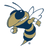 Georgia Tech Yellow Jacket