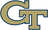 Georgia Tech Primary
