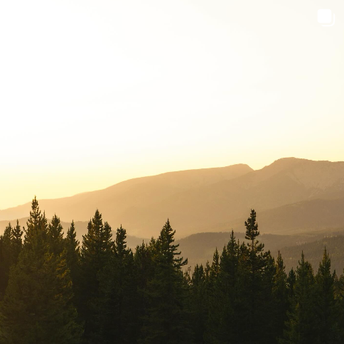 Trees with mountains in the back