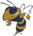 Georgia Tech Yellow Jacket