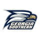 Georgia Southern Primary