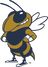 Georgia Tech Buzz